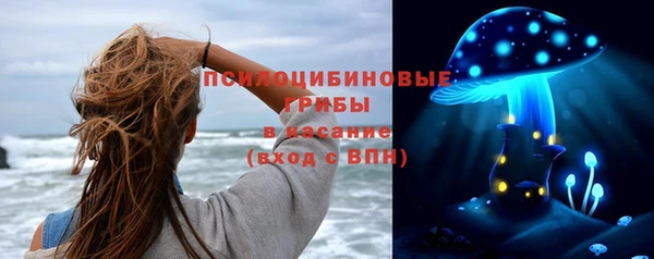 сатива Алзамай