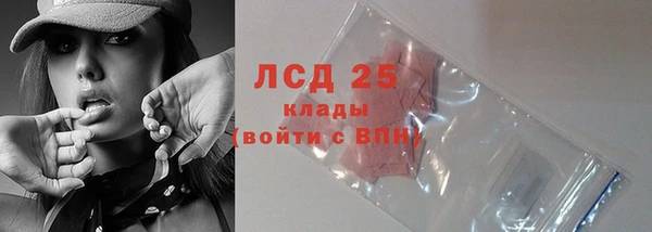 сатива Алзамай