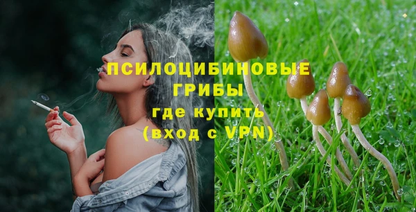сатива Алзамай
